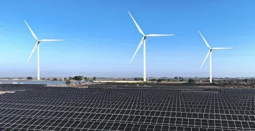 Highlight Project View