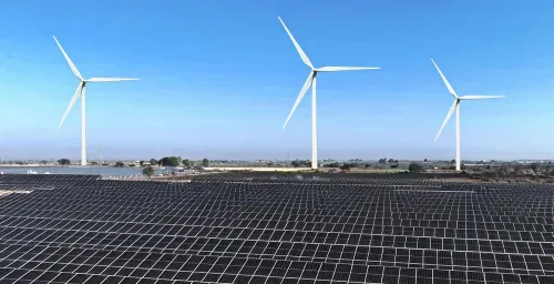 Highlight Project View