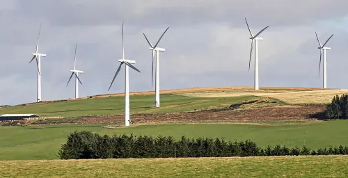 Highlight Project View